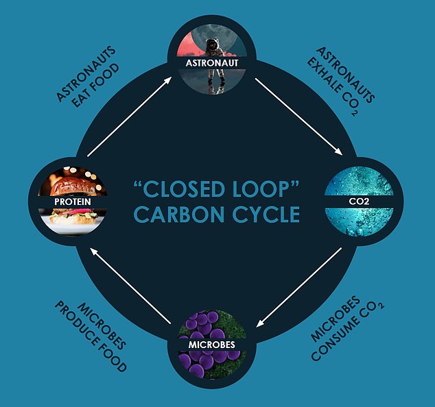 Luar Biasa, Daging Terbuat Dari Udara, Dan Bisa Dimakan